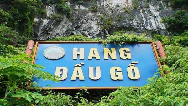 Địa điểm du lịch Hạ Long - Hang Đầu Gỗ