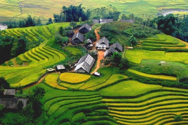 Bản Lao Chải - Tả Van là địa điểm du lịch ở Sapa có không gian cực kỳ yên bình