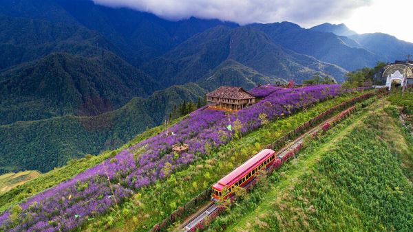 Những địa điểm du lịch ở Sapa có nhiều cánh đồng ruộng bậc thang đó là Mường Hoa