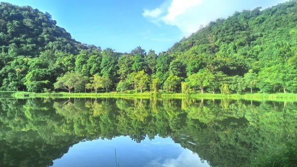 Địa điểm du lịch Ninh Bình nổi tiếng đó là vườn quốc gia Cúc Phương